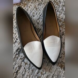 Everlane Italia The Modern Loafer Pointed Leather Flat, 7